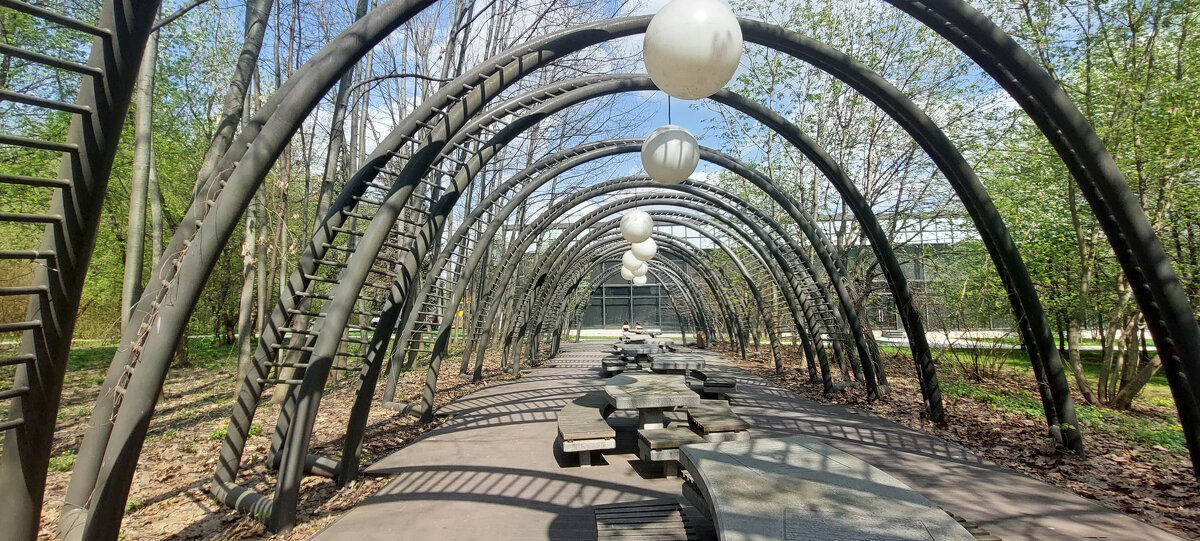 весенние тени - ИРЭН@ . весенние тени - ИРЭН@ .