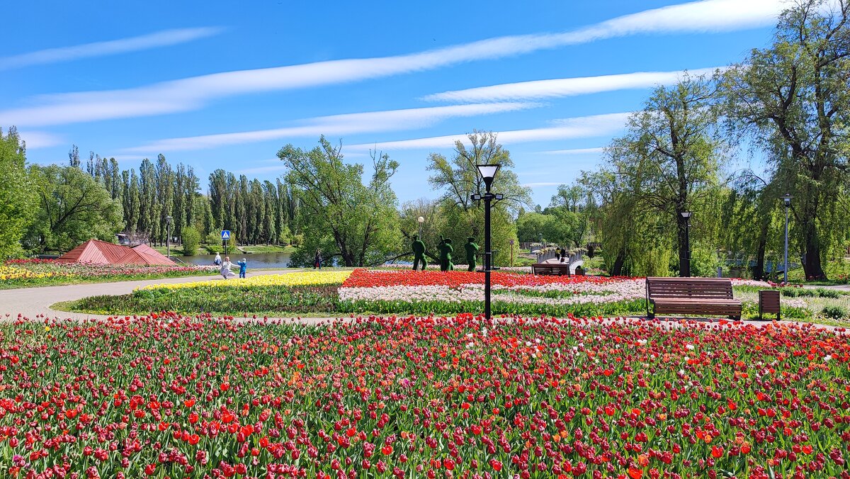 ,,, - Сергей Тимоновский ,,, - Сергей Тимоновский