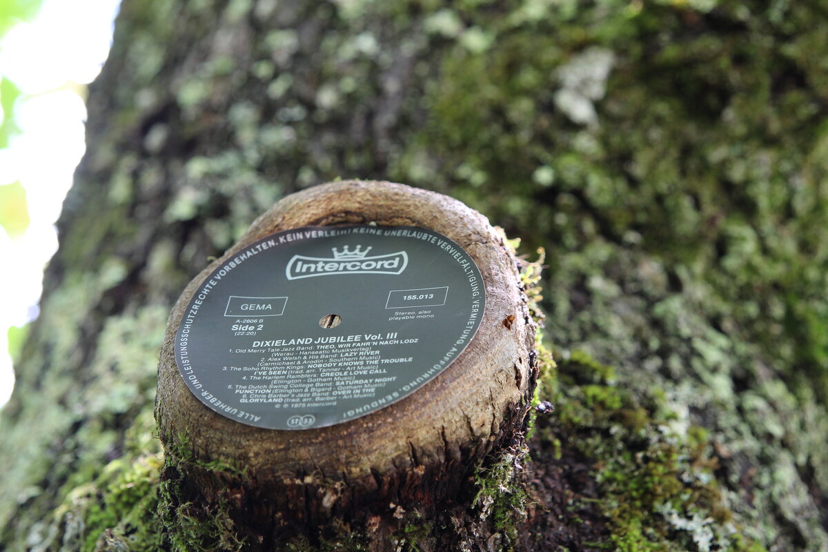 Поющий дуб - Валерий Поющий дуб - Валерий