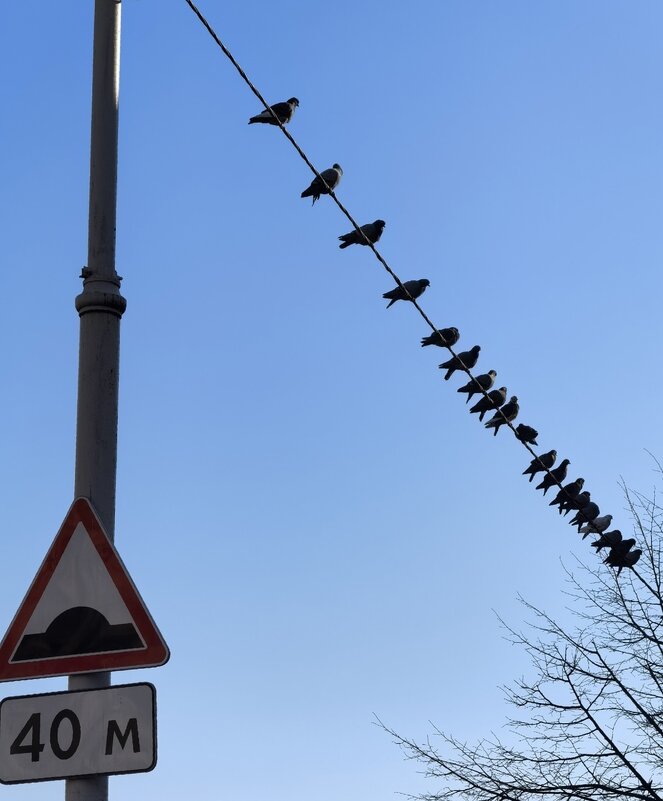 Искусственные неровности - Варвара Высоцкая