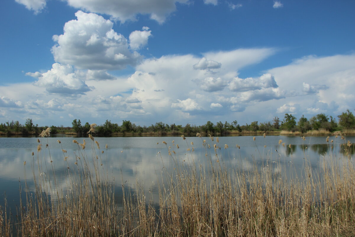 Донские виды. - Виктор Донские виды. - Виктор