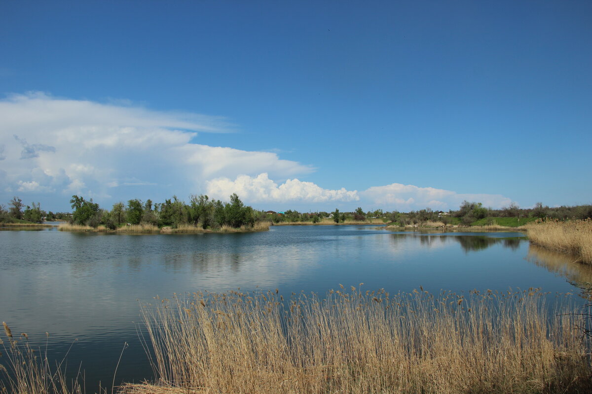 Тишина. - Виктор Тишина. - Виктор