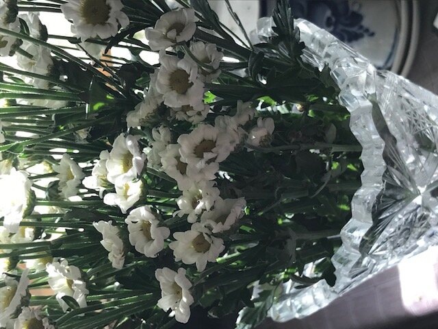 Весенние хризантемы - Татьяна Юрасова