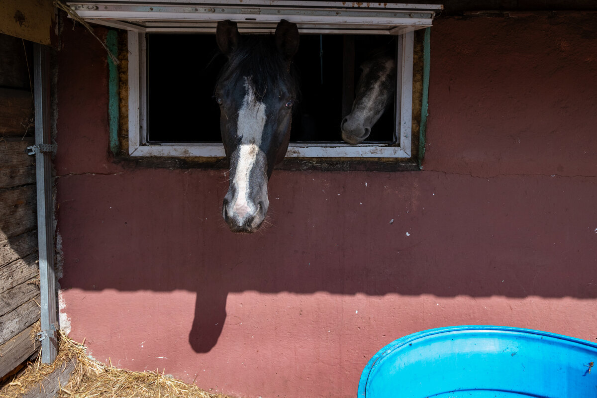 *** - Валерий Михмель 