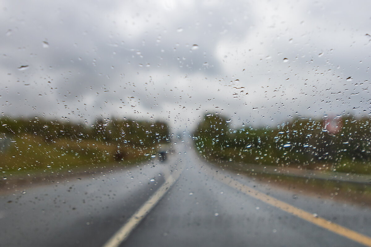 Последнее утро апреля. - Анатолий. Chesnavik. Последнее утро апреля. - Анатолий. Chesnavik.