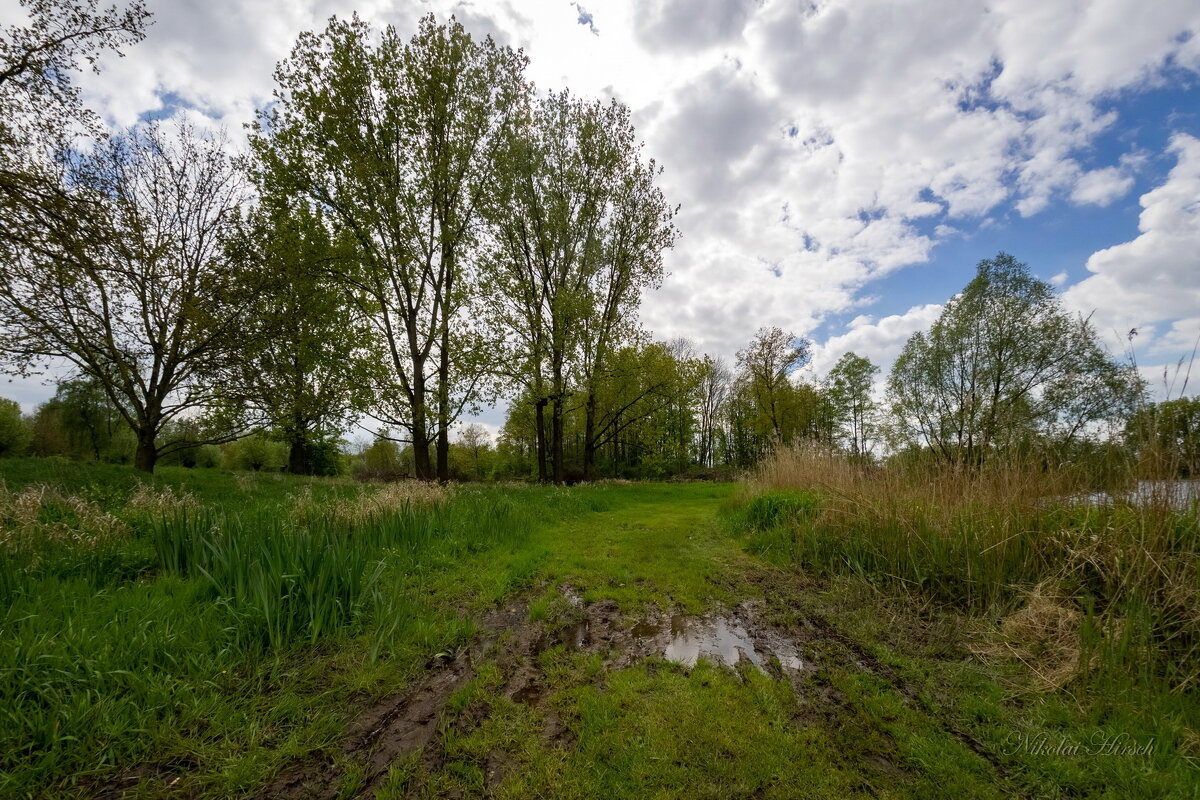 После дождей... - Николай Гирш После дождей... - Николай Гирш