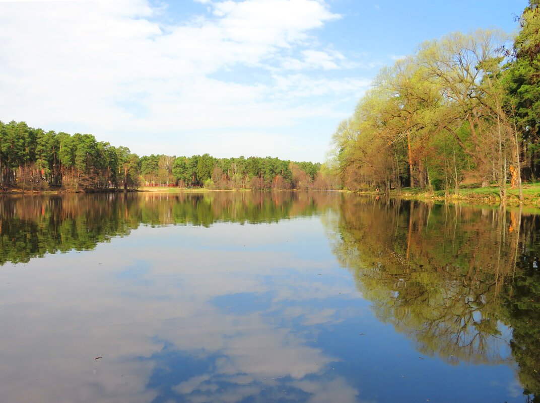 Утро на озере - Андрей Снегерёв