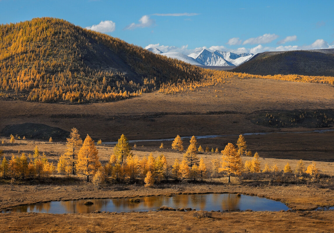 По дороге на Ильчир - Александр Попов