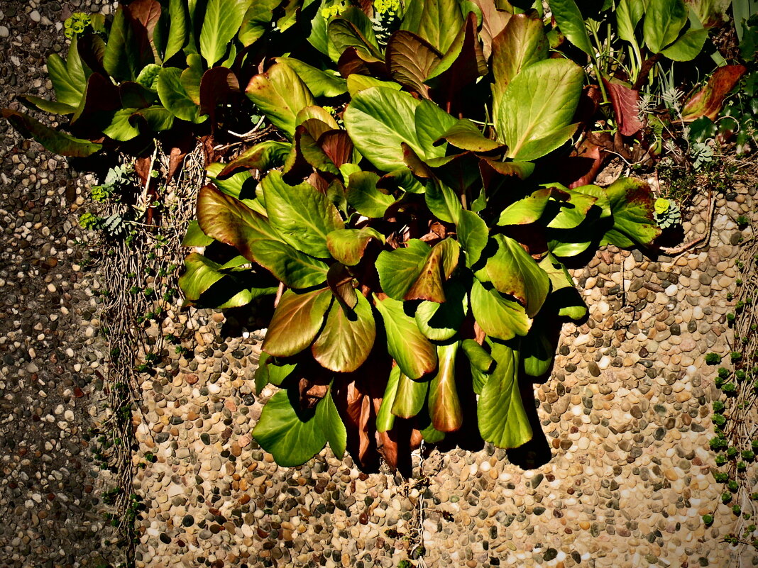 Весенние зарисовки 108 - Алексей Кузнецов