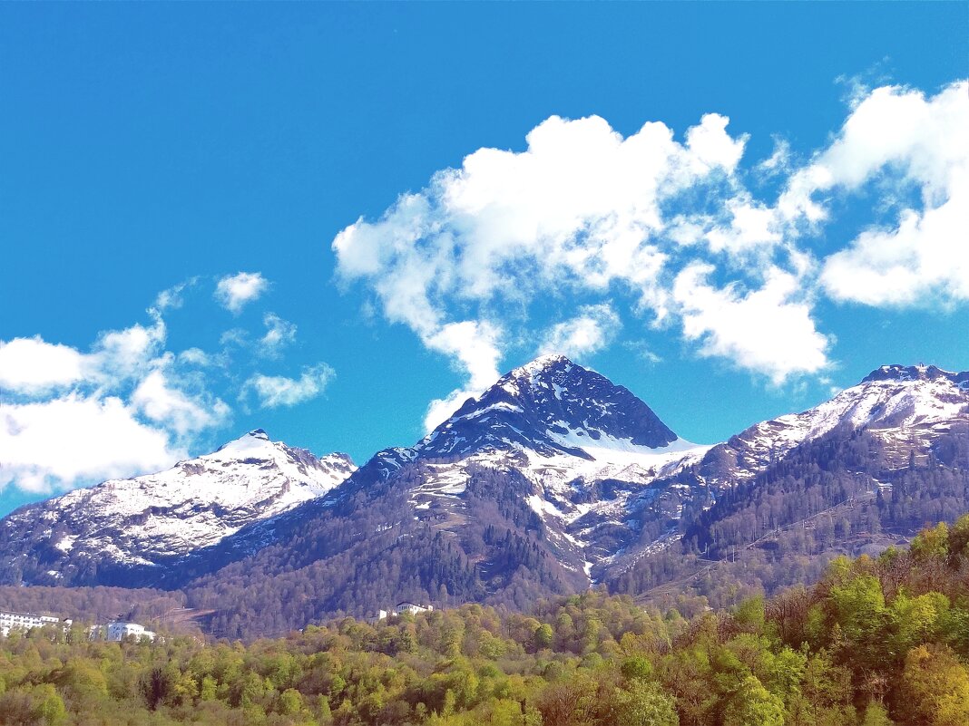 ЭстоСадок - Дмитрий Михайлиди
