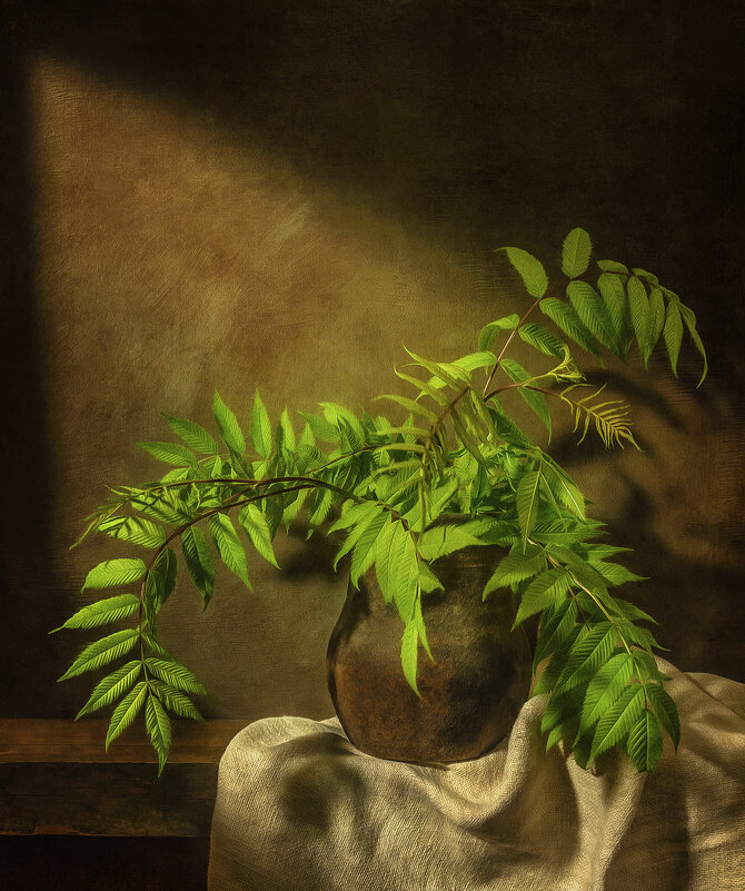 *** - Oleg Rastorguev *** - Oleg Rastorguev