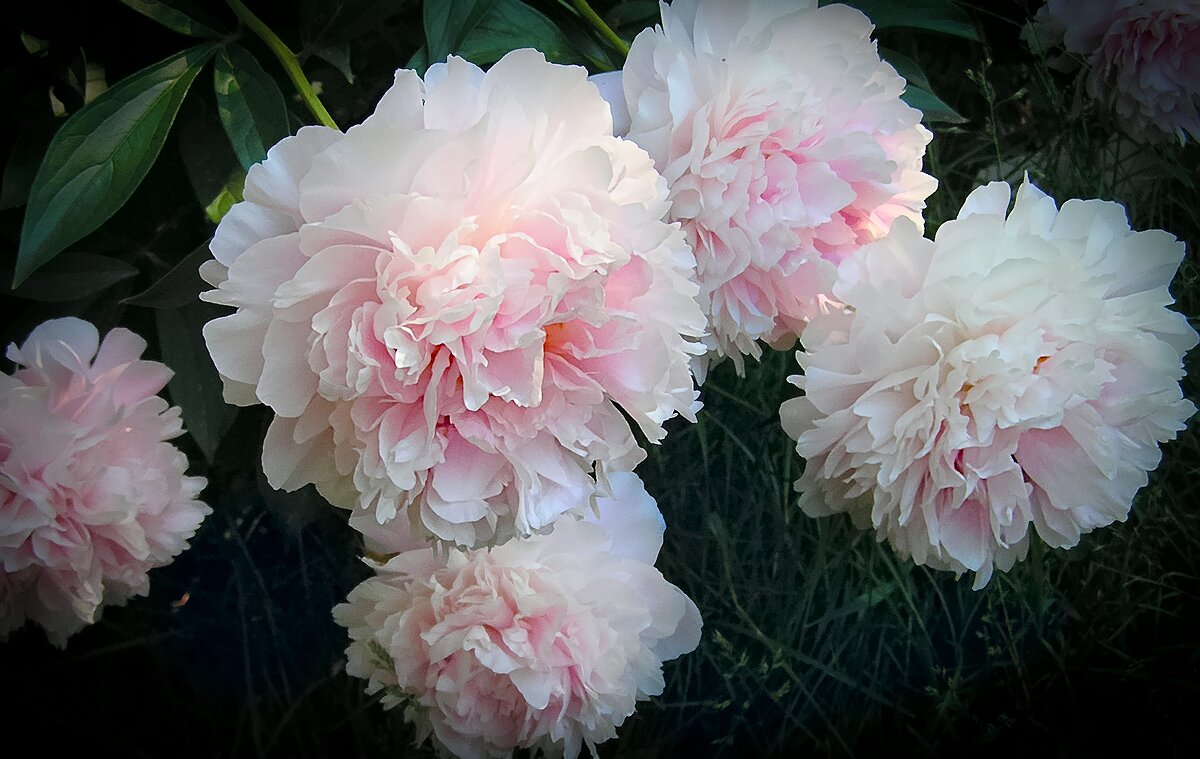 Эксперимент 5 - Andy 