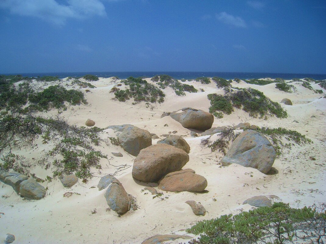 Кусочек острова Аруба. - unix (Илья Утропов) Кусочек острова Аруба. - unix (Илья Утропов)