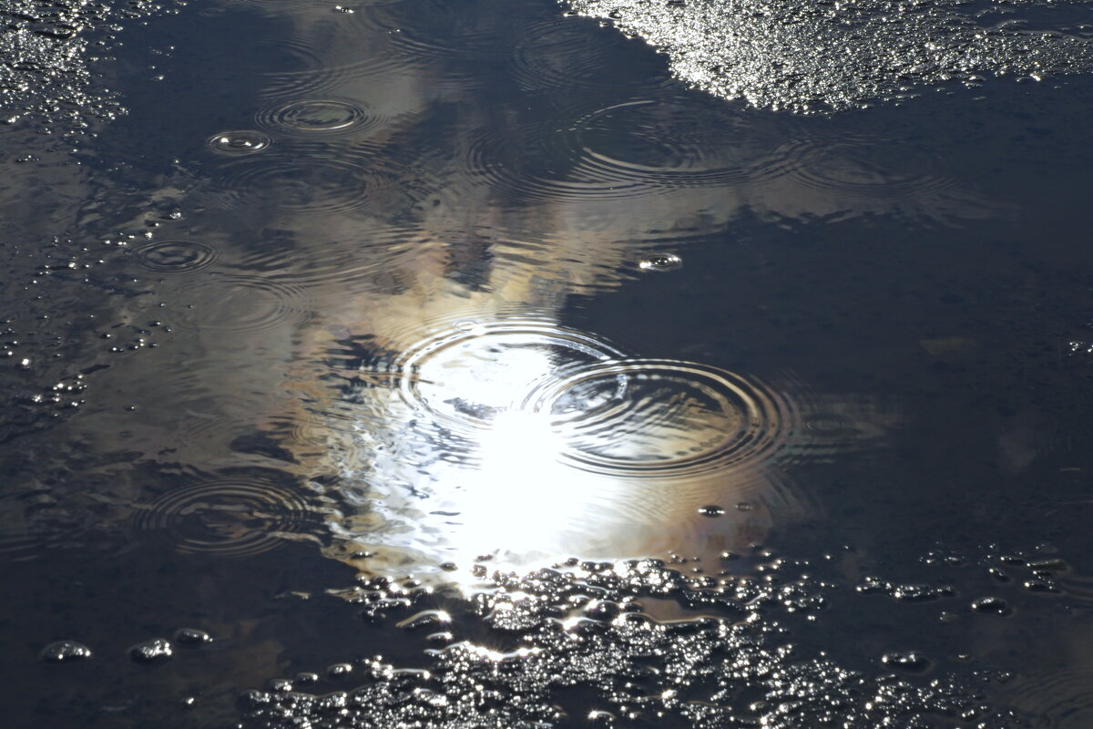 Первые капли дождя - Сергей Швечков