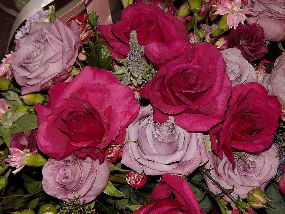 С Первомаем,друзья! - Нина Андронова