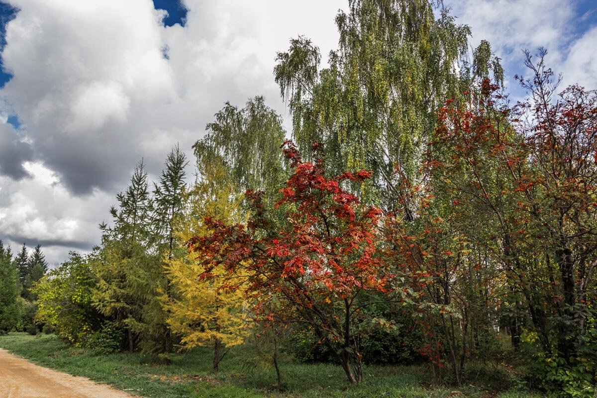 Пейзаж - SanSan 