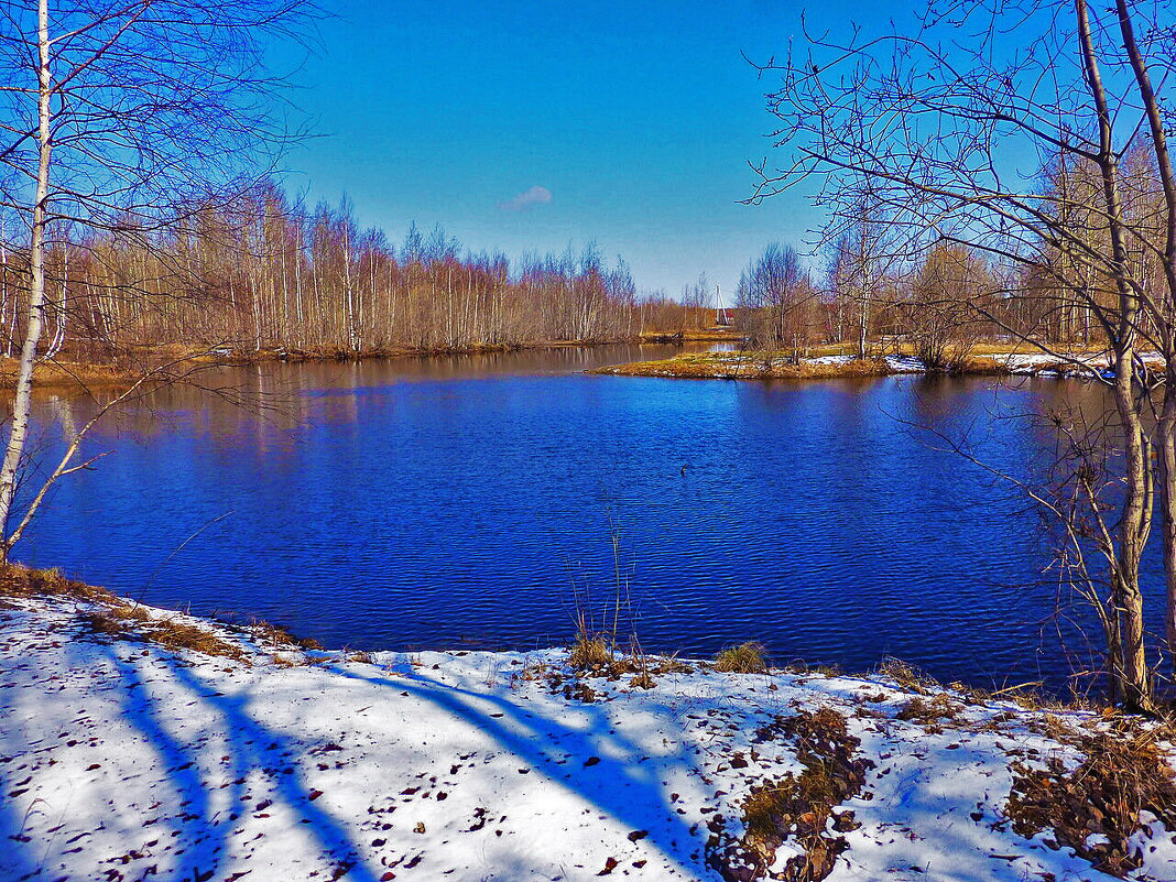 Майская пороша на лесном озерце! - Владимир 
