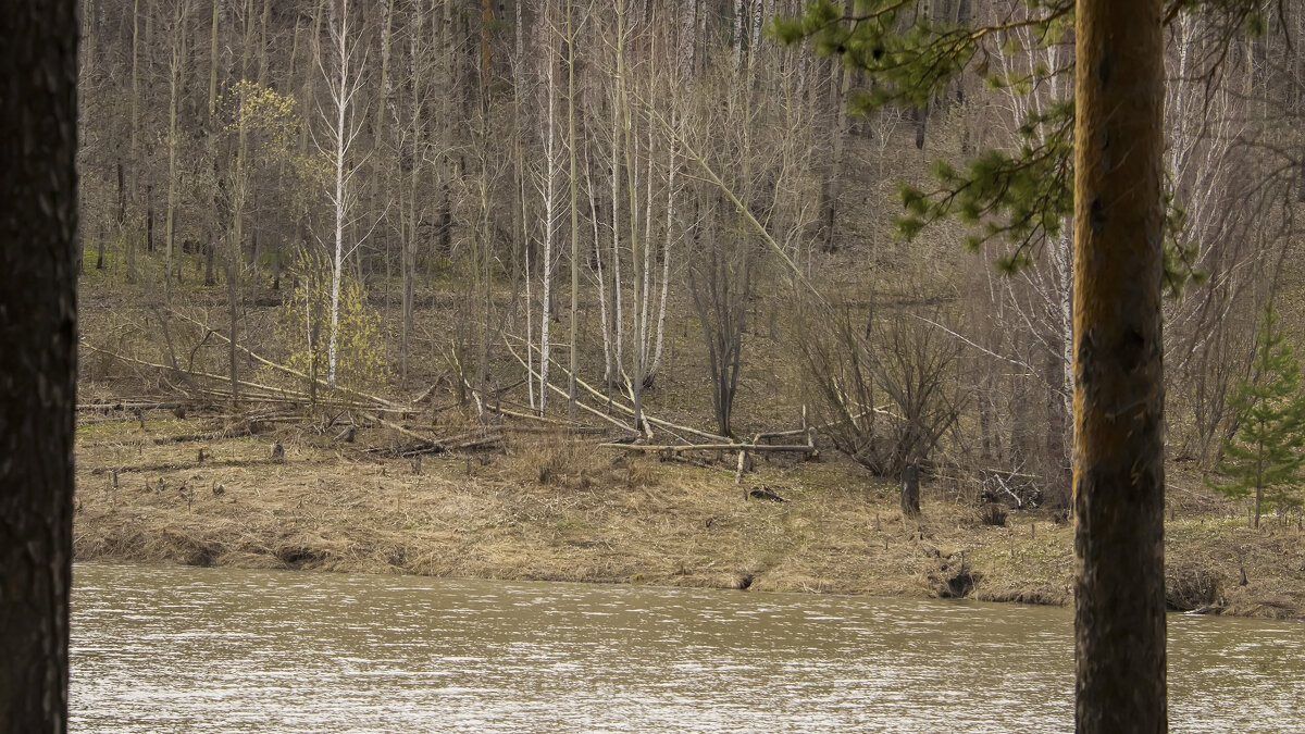 Бобровые угодья - Владимир Кириченко Бобровые угодья - Владимир Кириченко