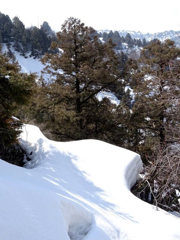ВОСКРЕСНАЯ ПРОГУЛКА. - Виктор Осипчук