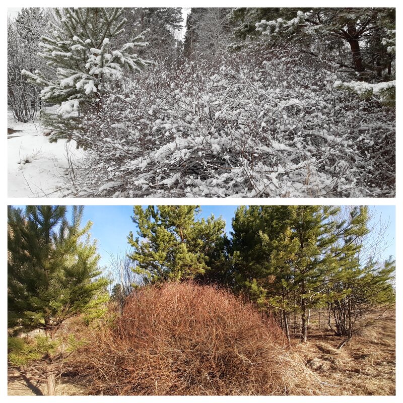 Погода в апреле - Галина Минчук