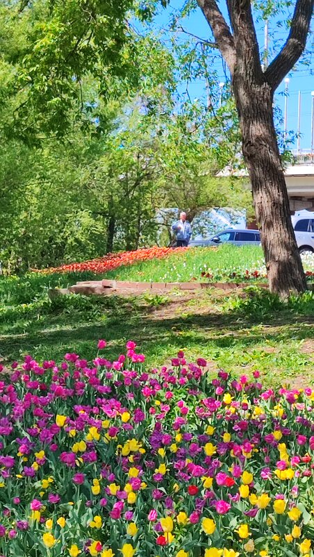 ,,, - Сергей Тимоновский