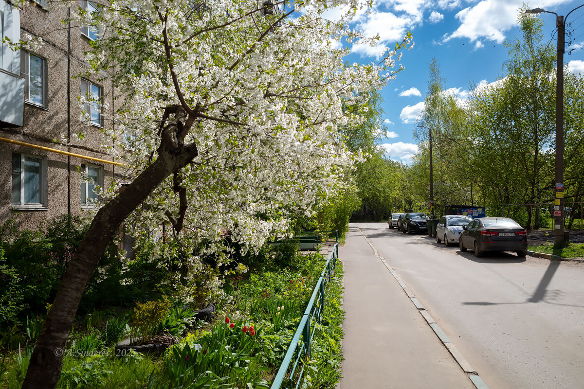 Весна около дома - Александр Синдерёв