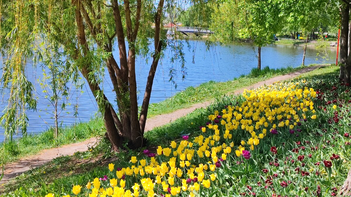 ,,, - Сергей Тимоновский