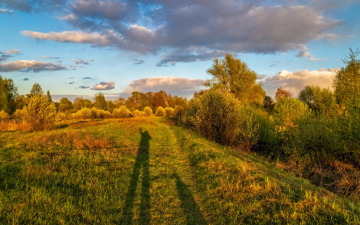 Весенний вечер 7 - Андрей Дворников Весенний вечер 7 - Андрей Дворников