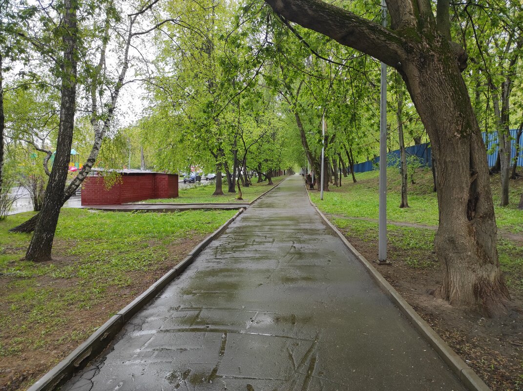 Первомайская демонстрация - Игорь Ч.