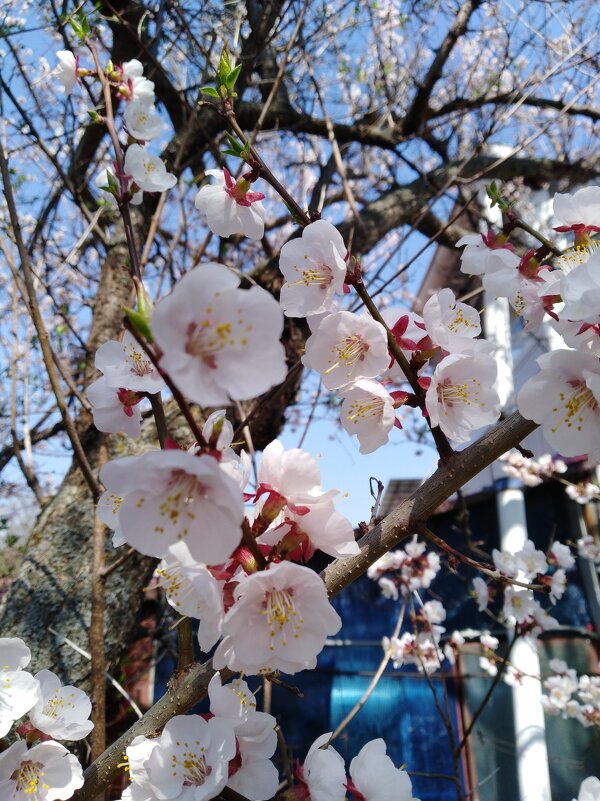 МИР! ТРУД! МАЙ! - Нина Колгатина 