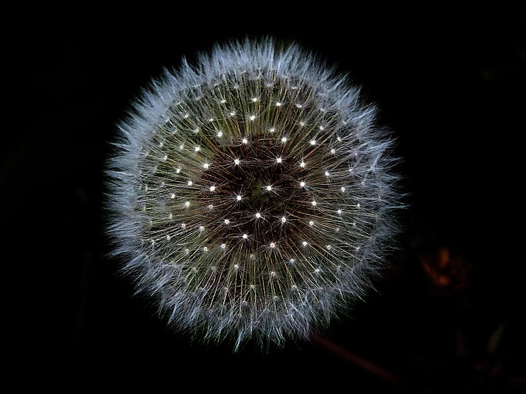 ** - Зоя Мишина ** - Зоя Мишина