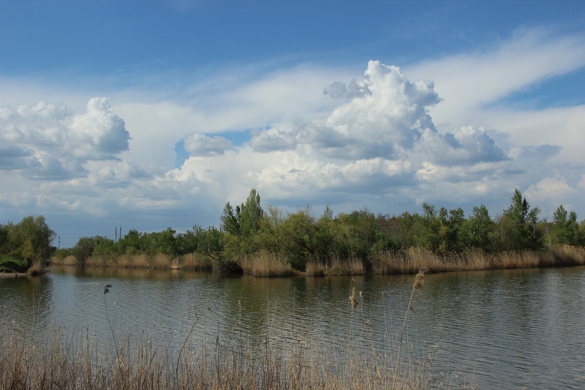 Донские зарисовки. - Виктор 