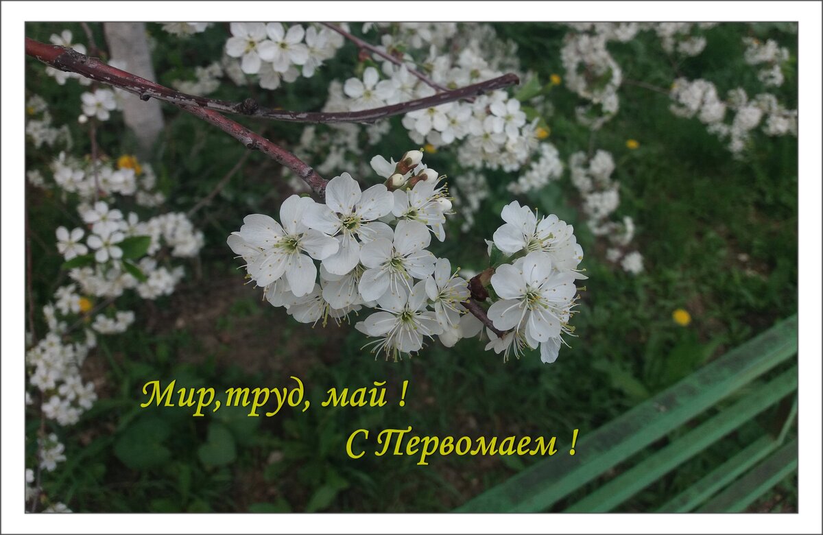 С праздником ,друзья ! - Galina Solovova С праздником ,друзья ! - Galina Solovova