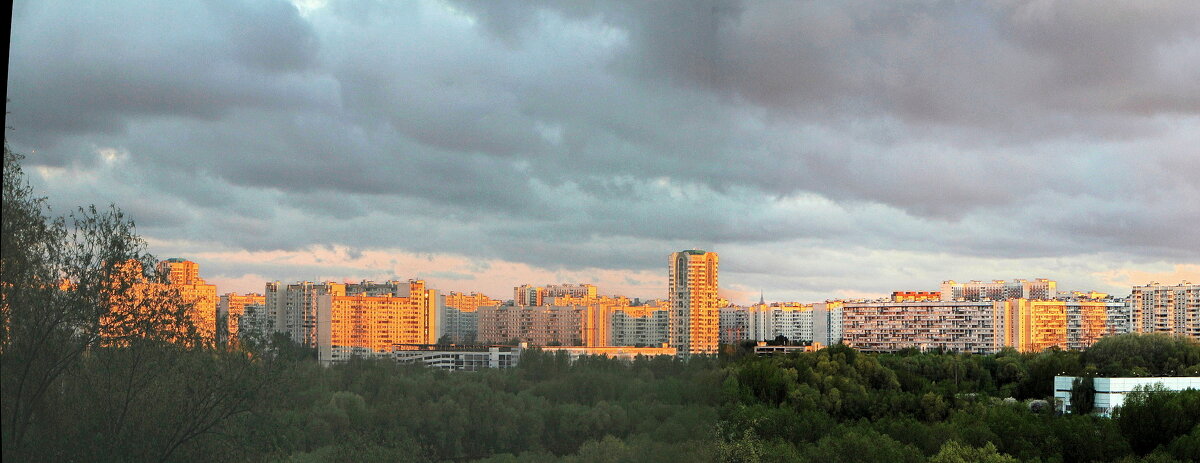 Панорама - Тамара Вебер