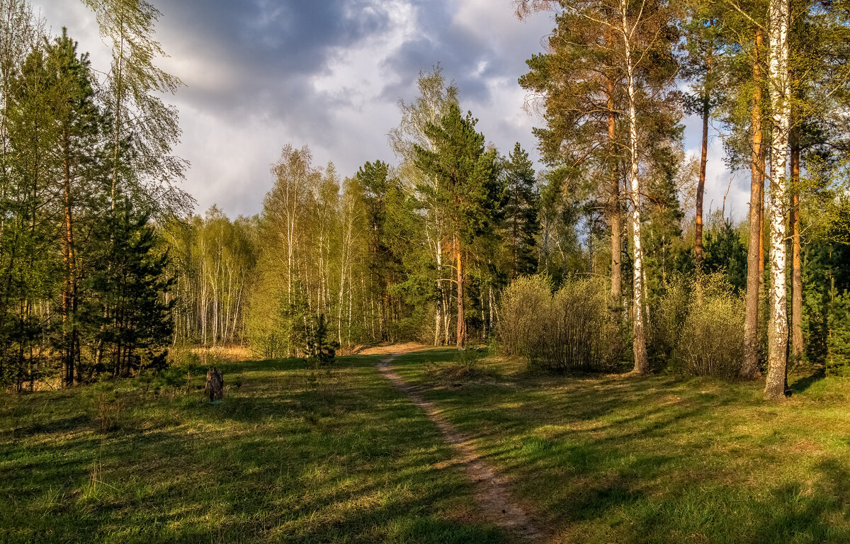 На исходе Апреля - Андрей Дворников На исходе Апреля - Андрей Дворников