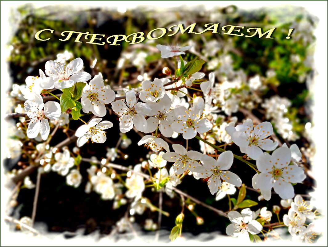 С Праздником 1 мая, друзья! - Лия ☼