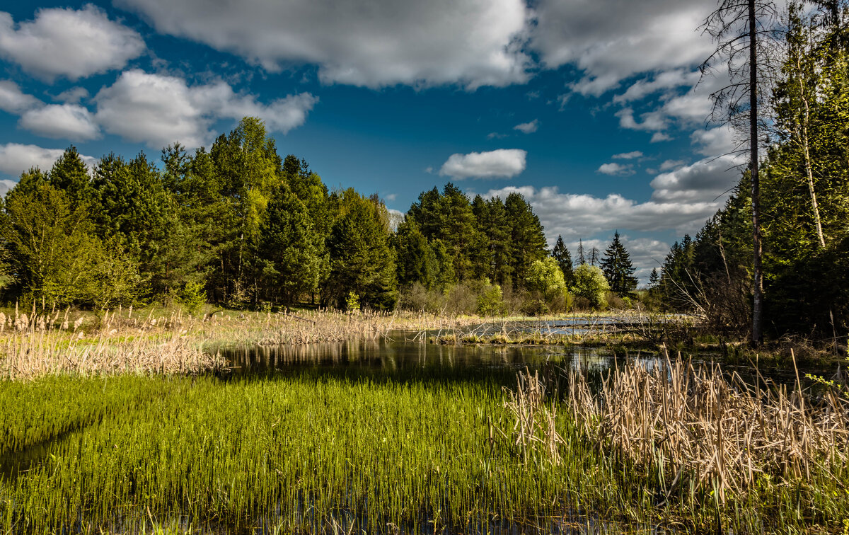 ПРУД - Екатерина Счасная ПРУД - Екатерина Счасная