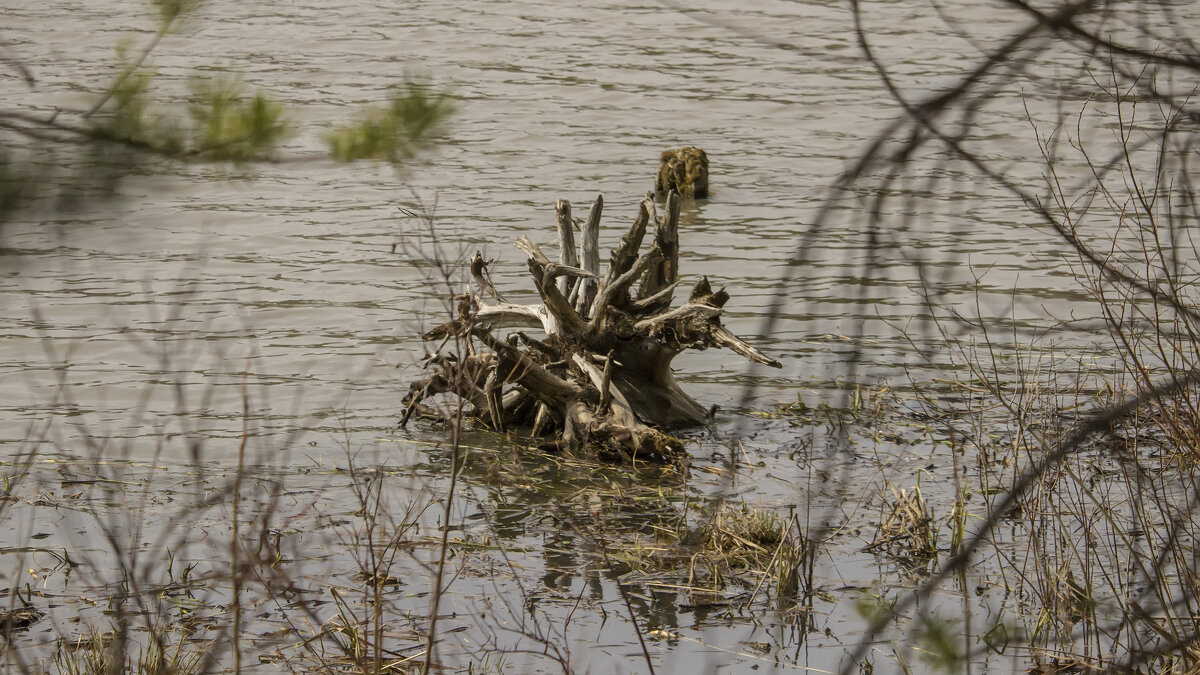 Водяной - Владимир Кириченко