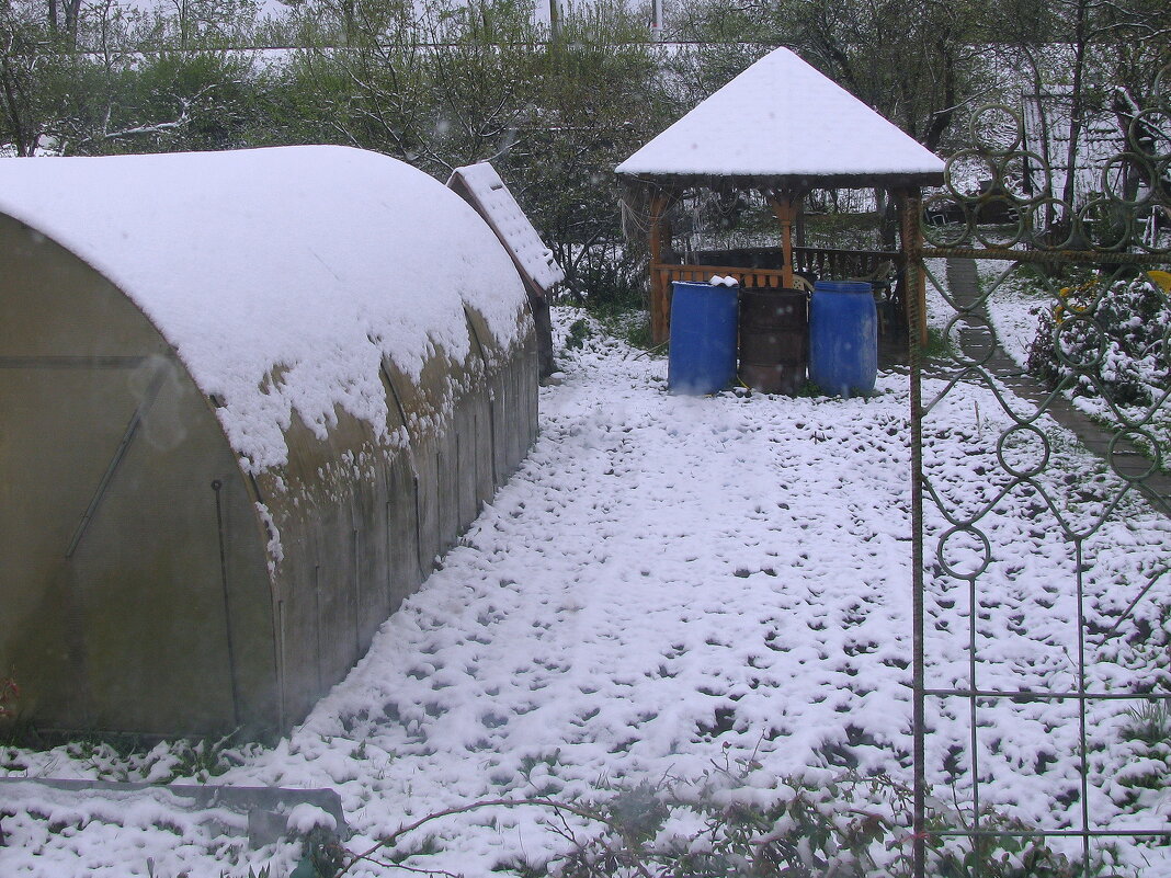 Майская зима - Людмила Смородинская Майская зима - Людмила Смородинская
