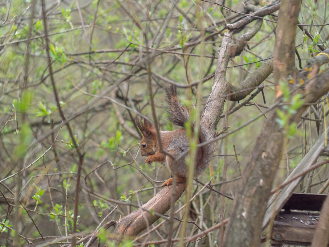 ___ - Yuriy V ___ - Yuriy V