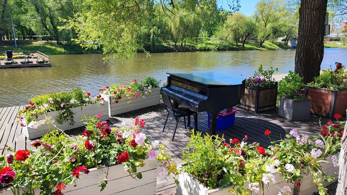 ,,, - Сергей Тимоновский