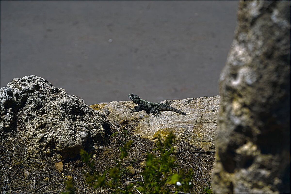 Хозяйка этих мест - ujgcvbif 