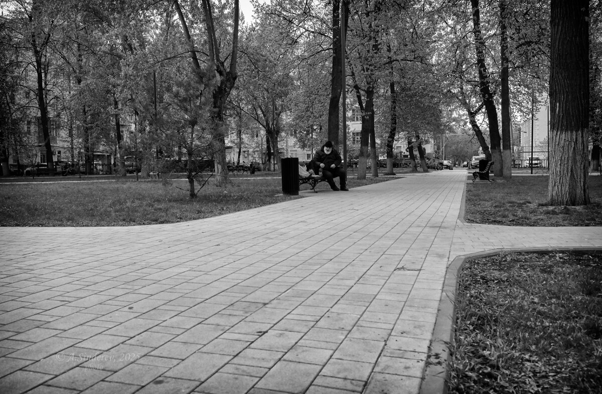 На лавочке в сквере - Александр Синдерёв На лавочке в сквере - Александр Синдерёв