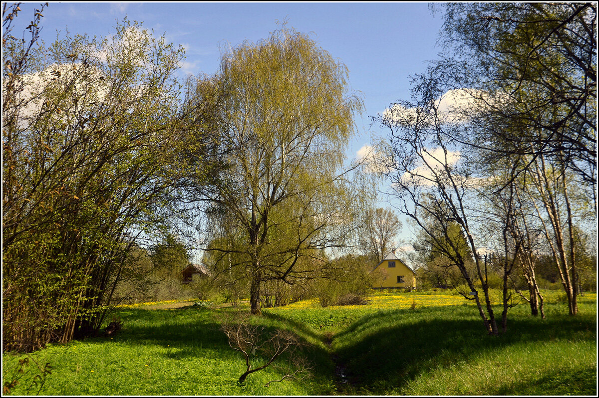 ..настал месяц МАЙ - Aleksandr Gal