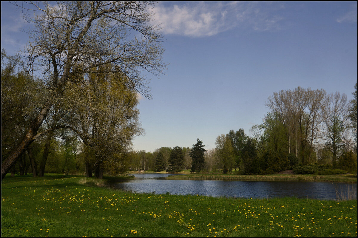 *** - Aleksandr Gal *** - Aleksandr Gal