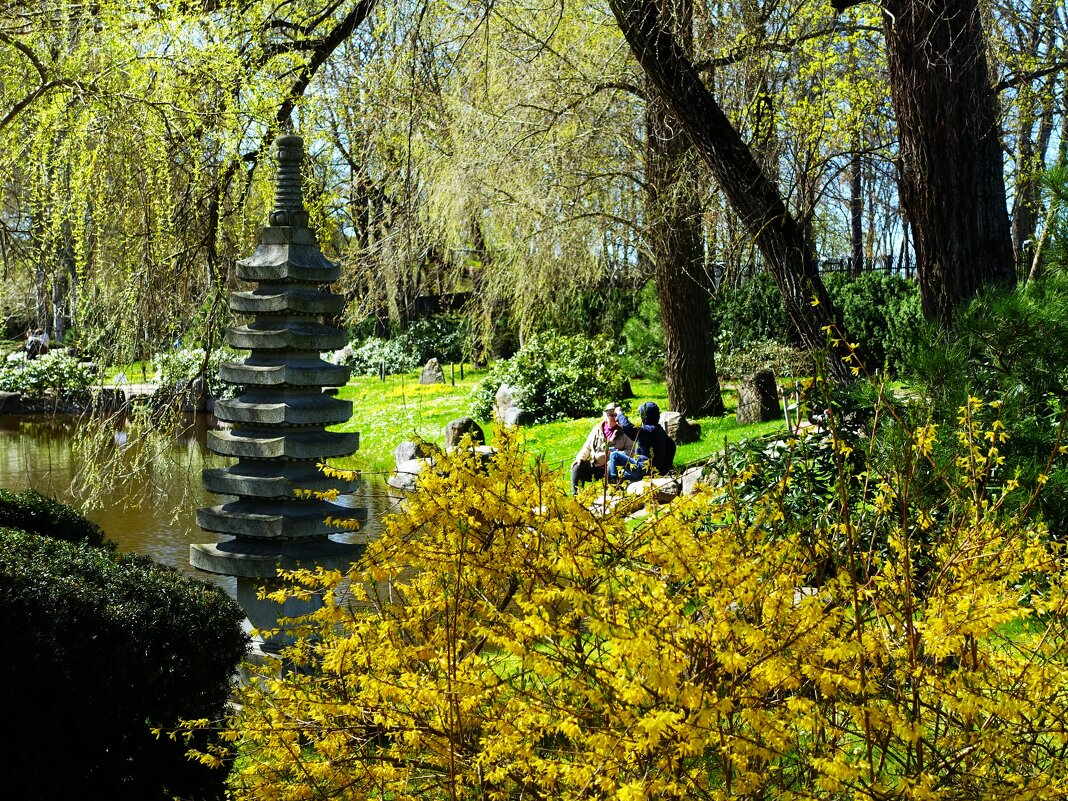 Солнечный день в Японском саду Кадриорга - Aida10 Солнечный день в Японском саду Кадриорга - Aida10