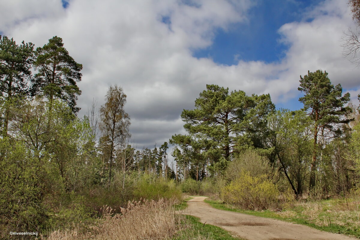 ПОДМОСКОВЬЕ... - mveselnickij 