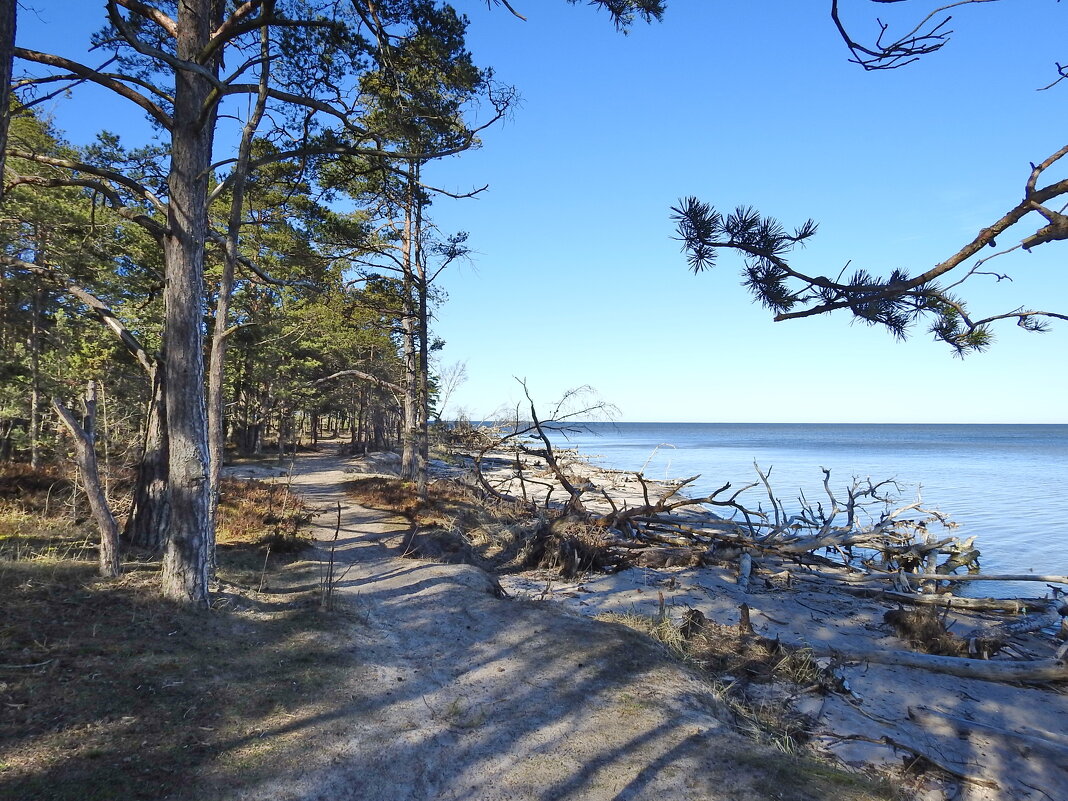 весна - ИННА ПОРОХОВА