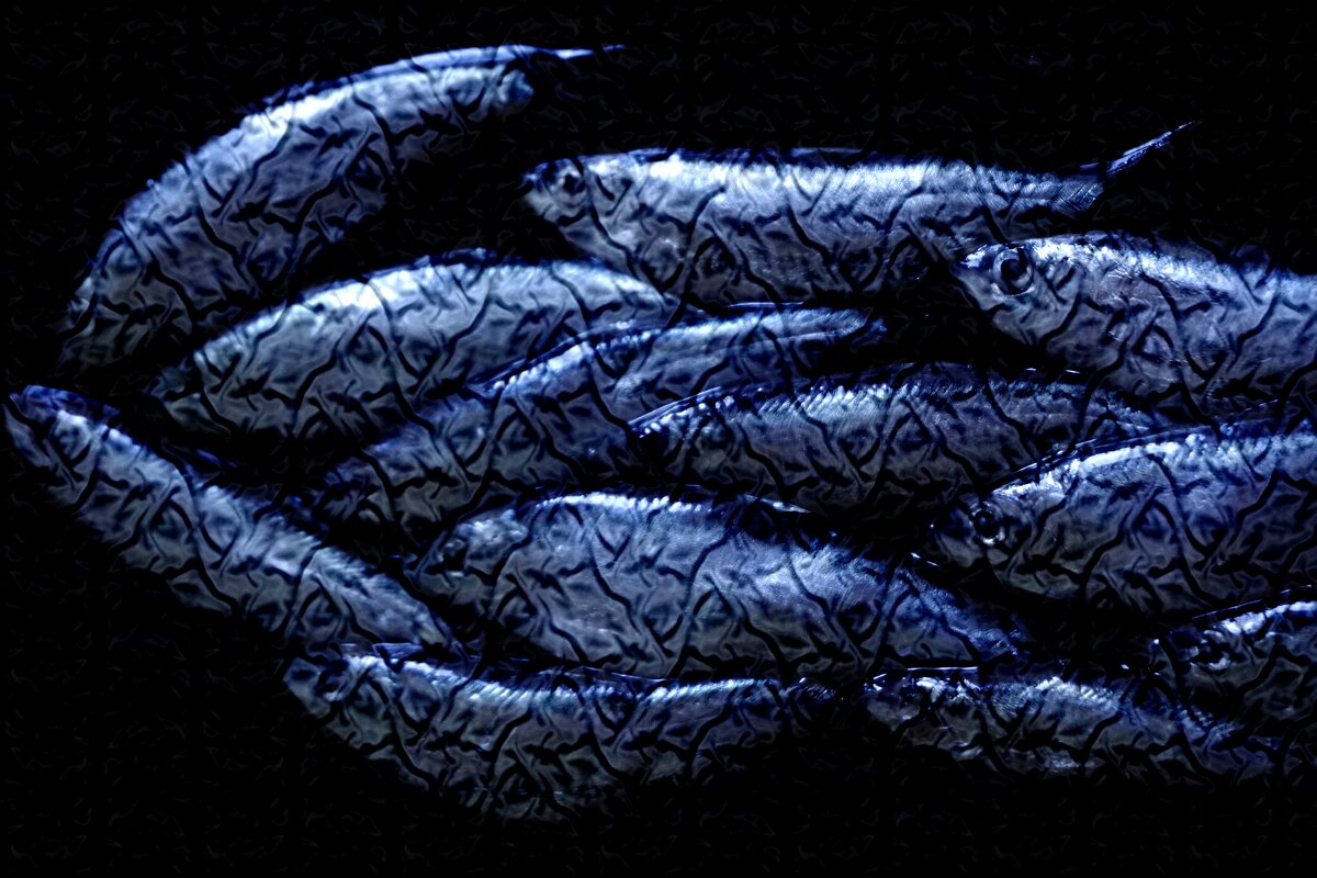 Гжель - Дмитрий Потапов