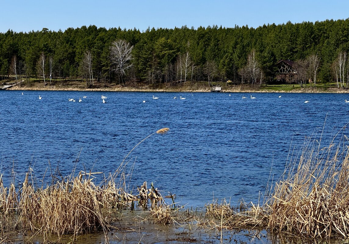 *** - Сергей Адигамов